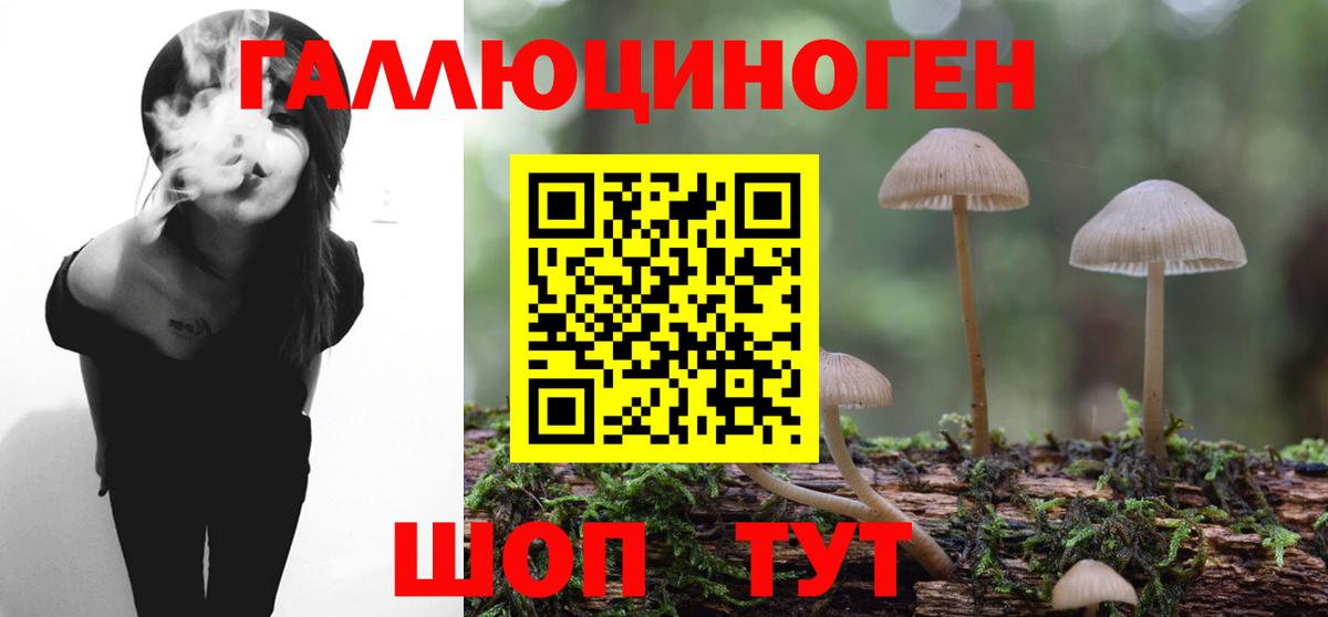 Псилоцибиновые грибы мухоморы Хабаровск