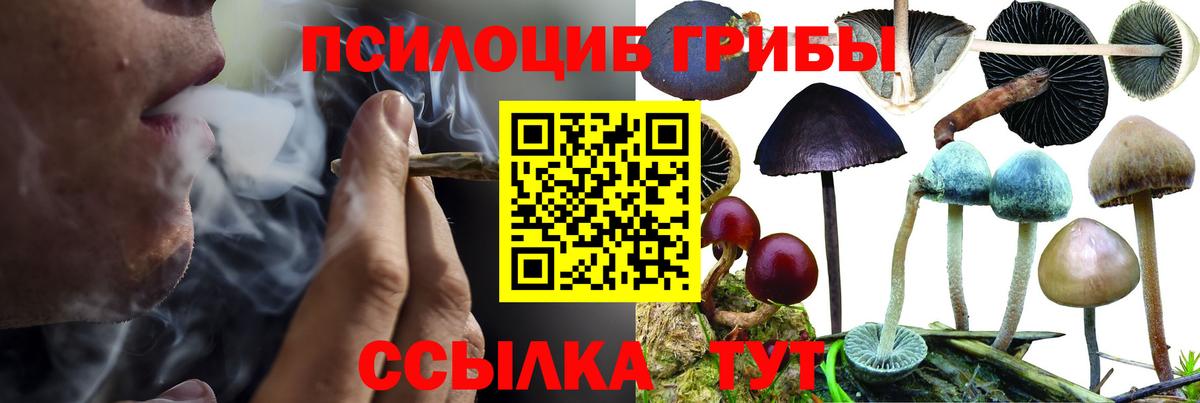 Псилоцибиновые грибы мухоморы  Вход с VPN  Хабаровск 